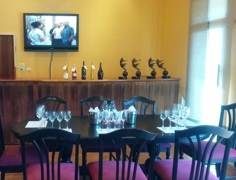 Tour of GranMonte Vineyard (8)