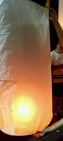 Chiang Mai Lantern Festival
