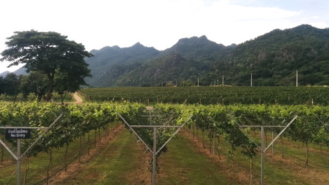 GranMonte asoke valley_03