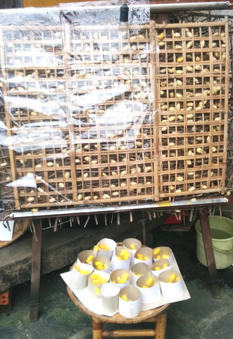 Hoi An Town_14