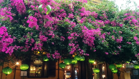 Hoi An Raostery cafe_01