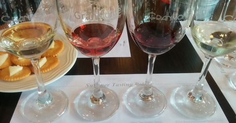 Tour of GranMonte Vineyard (10-2)