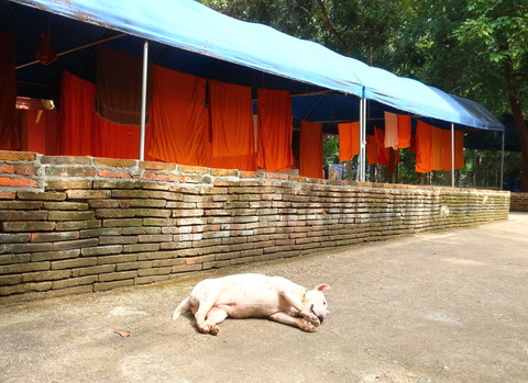 Thailand_Chiang Mai_Wat Umong_Buddhist temple_D2-10