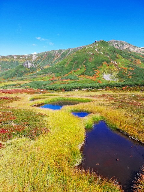 70343426_2475515449385724_2236718804824489984_n