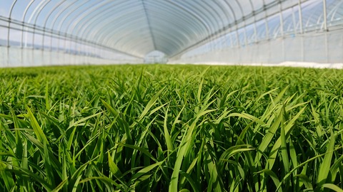 32861024_1814907395471532_6797270647727718400_n