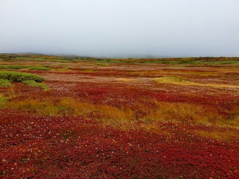 71283822_675236092955870_8848885089468153856_n