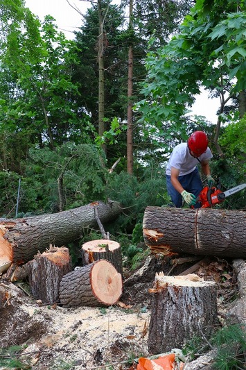 習うより慣れろ！