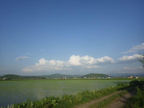 RIMG4857
