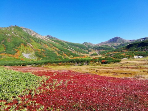 70578514_926060571085196_108713645260668928_n