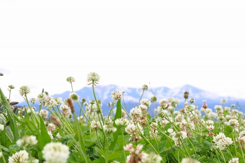 「道草館」にパンフレット置かせていただきました！！