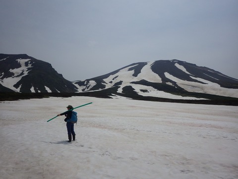 19388373_1380149382105894_5596124372258760140_o