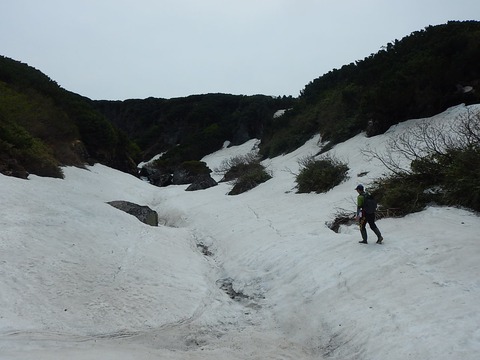 19400654_1380149012105931_4139484019146741157_o