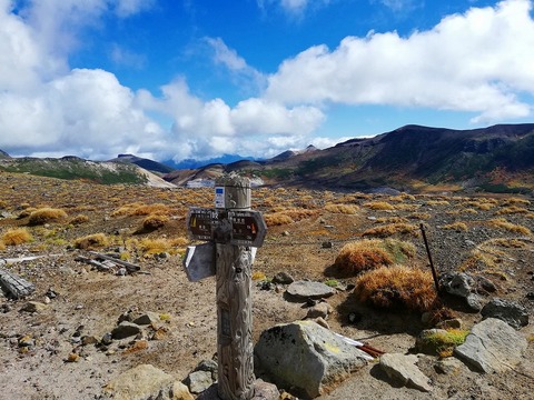 70723249_422914391669878_7638082664255193088_n