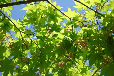 DSC01609