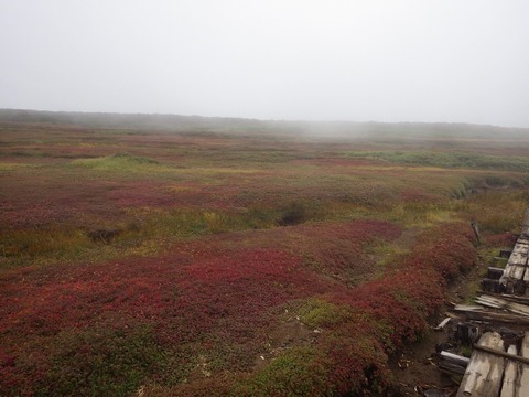 裾合平の紅葉、進んでいます。