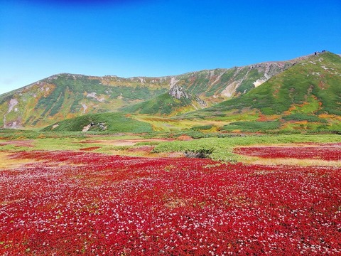 71034814_446477045967550_2997333495488970752_n