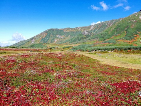 70450847_492499601307391_2090594439637499904_n