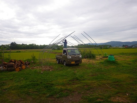RIMG9733