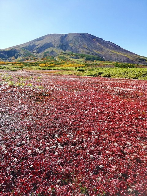 70698226_2496914393859516_4467614484399128576_n