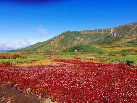 70501971_383007942639277_8974148313167167488_n