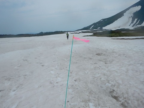 19390791_1380149248772574_3290554753709713570_o