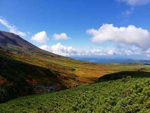 70935180_1751404345158830_8198890605816840192_n