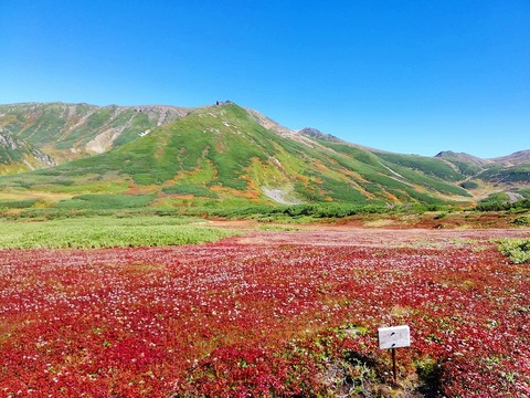 70221450_393926744620884_3930904878485864448_n