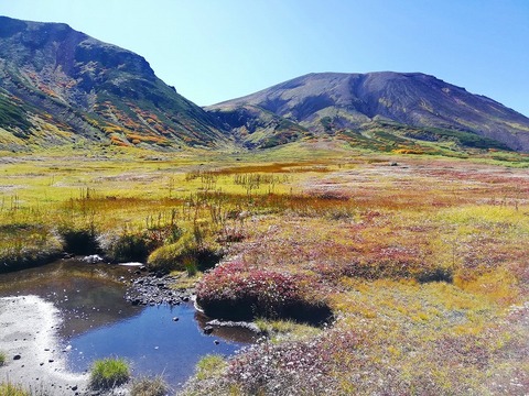 71745074_750495698742192_1601981767290454016_n