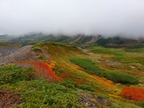 70686898_1097342983809818_6737145503630229504_n