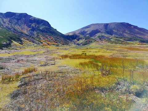 70289505_2099910670317547_2189973312782729216_n