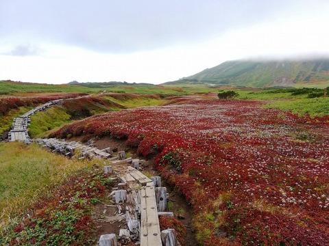 71093456_2454854968172752_2402814209592131584_n (1)