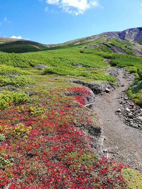 70557123_2355371971446036_613445291214897152_n