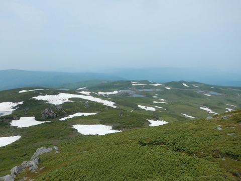 19388773_1380149018772597_4501002048823061112_o