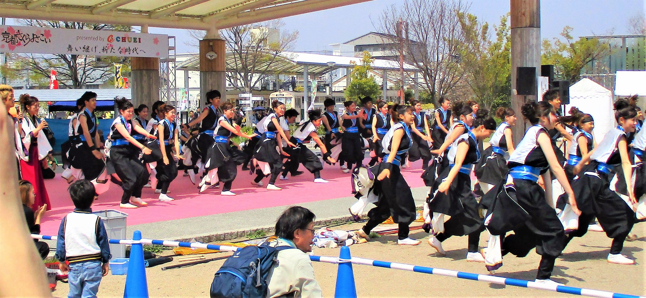 京都さくらよさこい あちこち出かけます 京都さくらよさこい あちこち出かけます