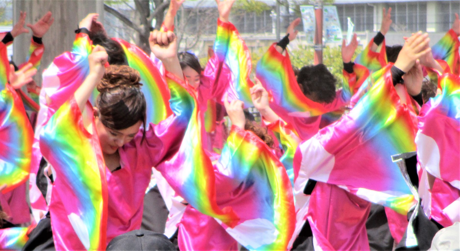 京都さくらよさこい あちこち出かけます 京都さくらよさこい あちこち出かけます