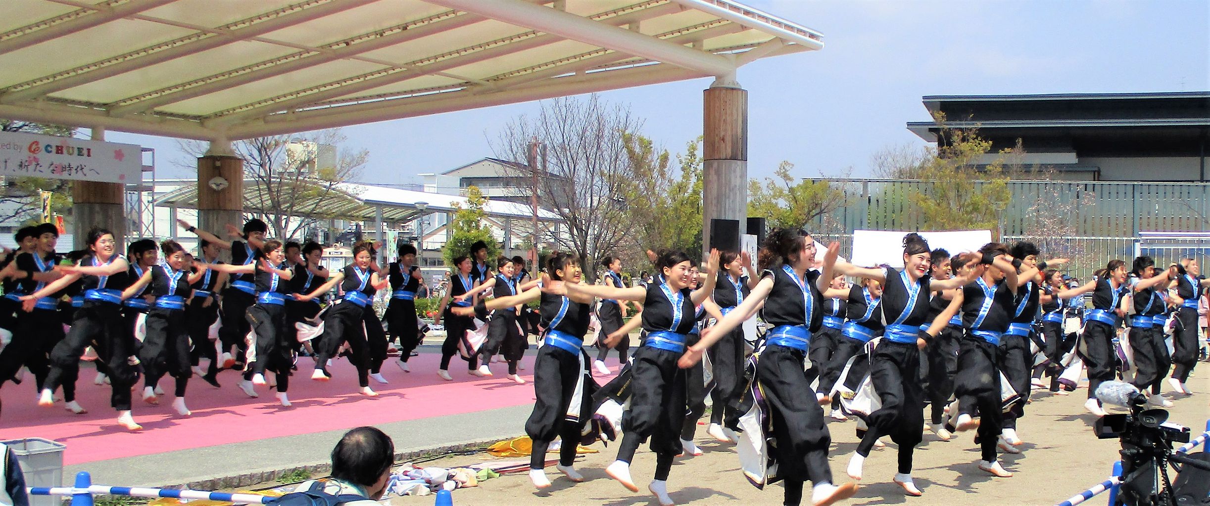 京都さくらよさこい あちこち出かけます 京都さくらよさこい あちこち出かけます
