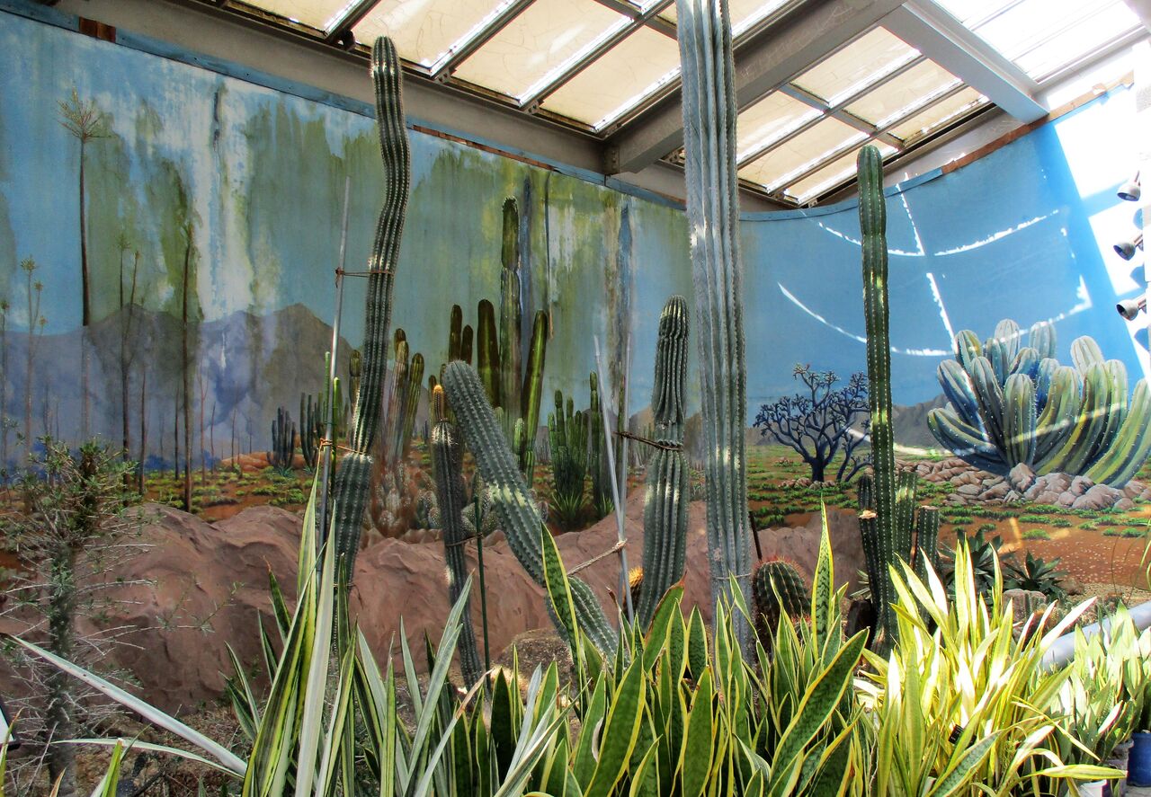 植物園温室 あちこち出かけます