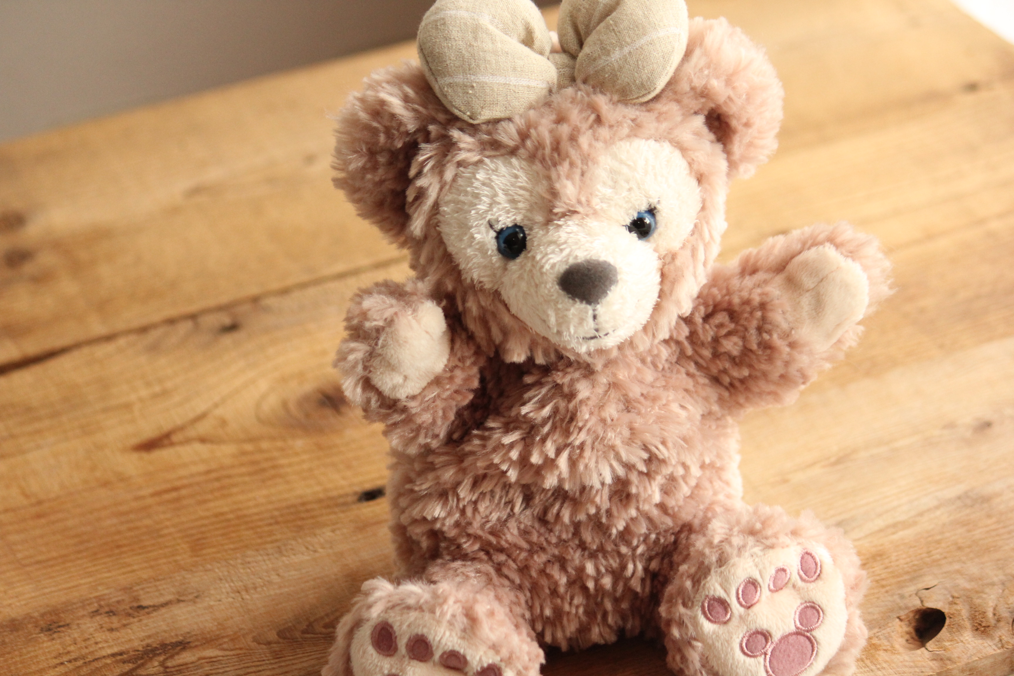 ディズニー行ってきました のでお土産コレクション 日々のごはんとおやつのネタ帳 簡単なのも 丁寧なのも Powered By ライブドアブログ