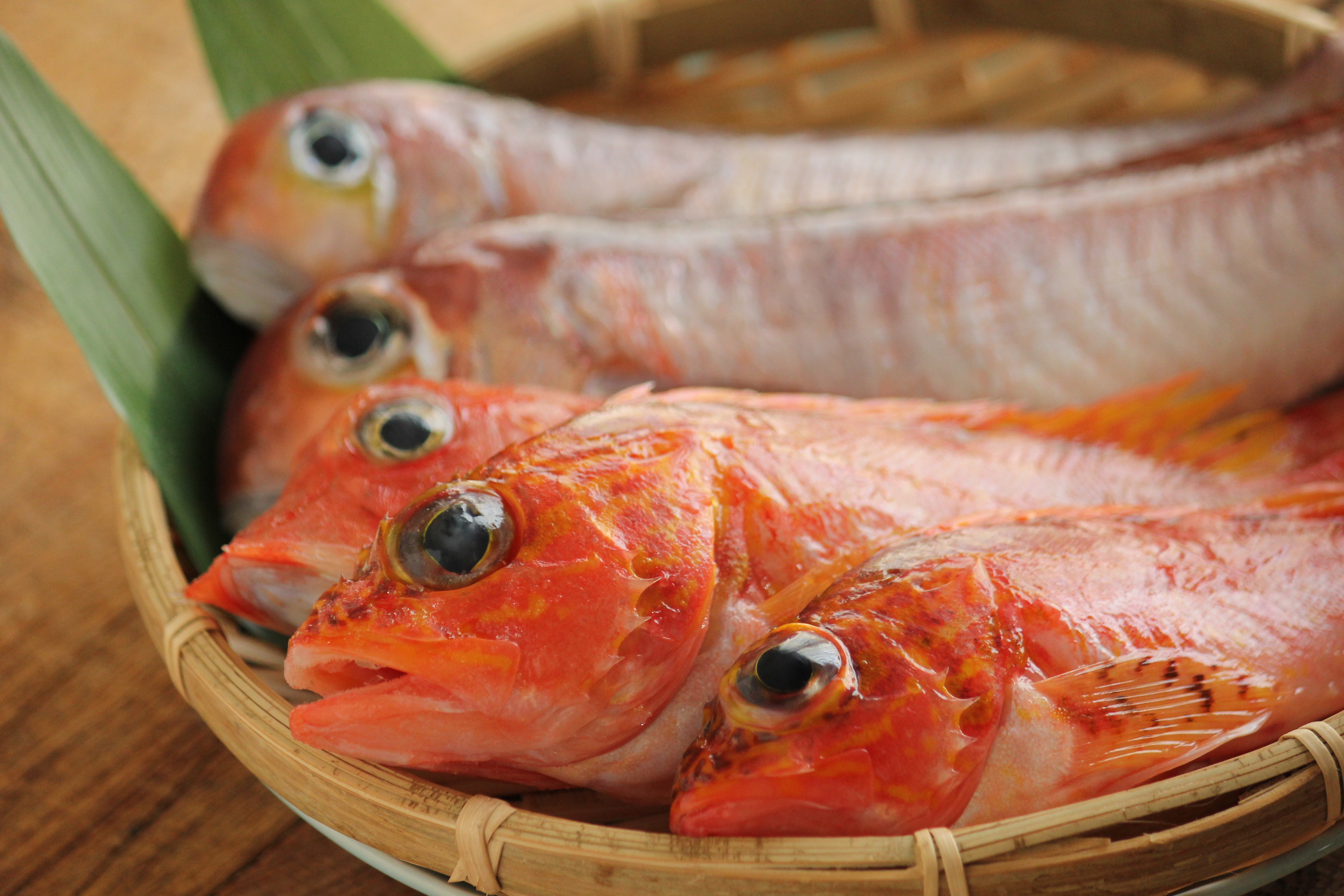 甘鯛の蒸し物としめ鯖献立 ビジュアル系フード Powered By ライブドアブログ