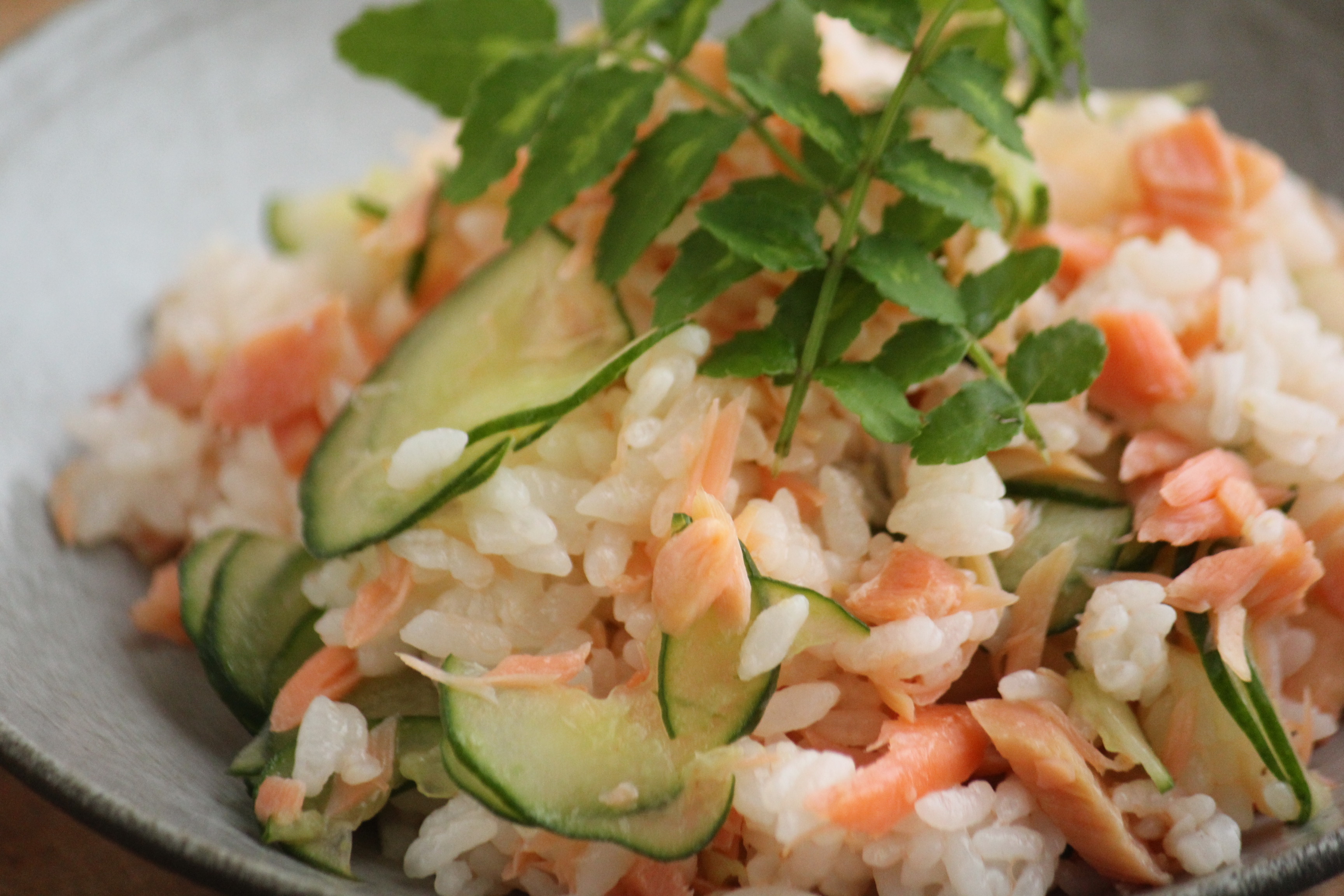 鮭ときゅうりの混ぜご飯献立 地味な焼き魚は混ぜて華やかに ビジュアル系フード Powered By ライブドアブログ