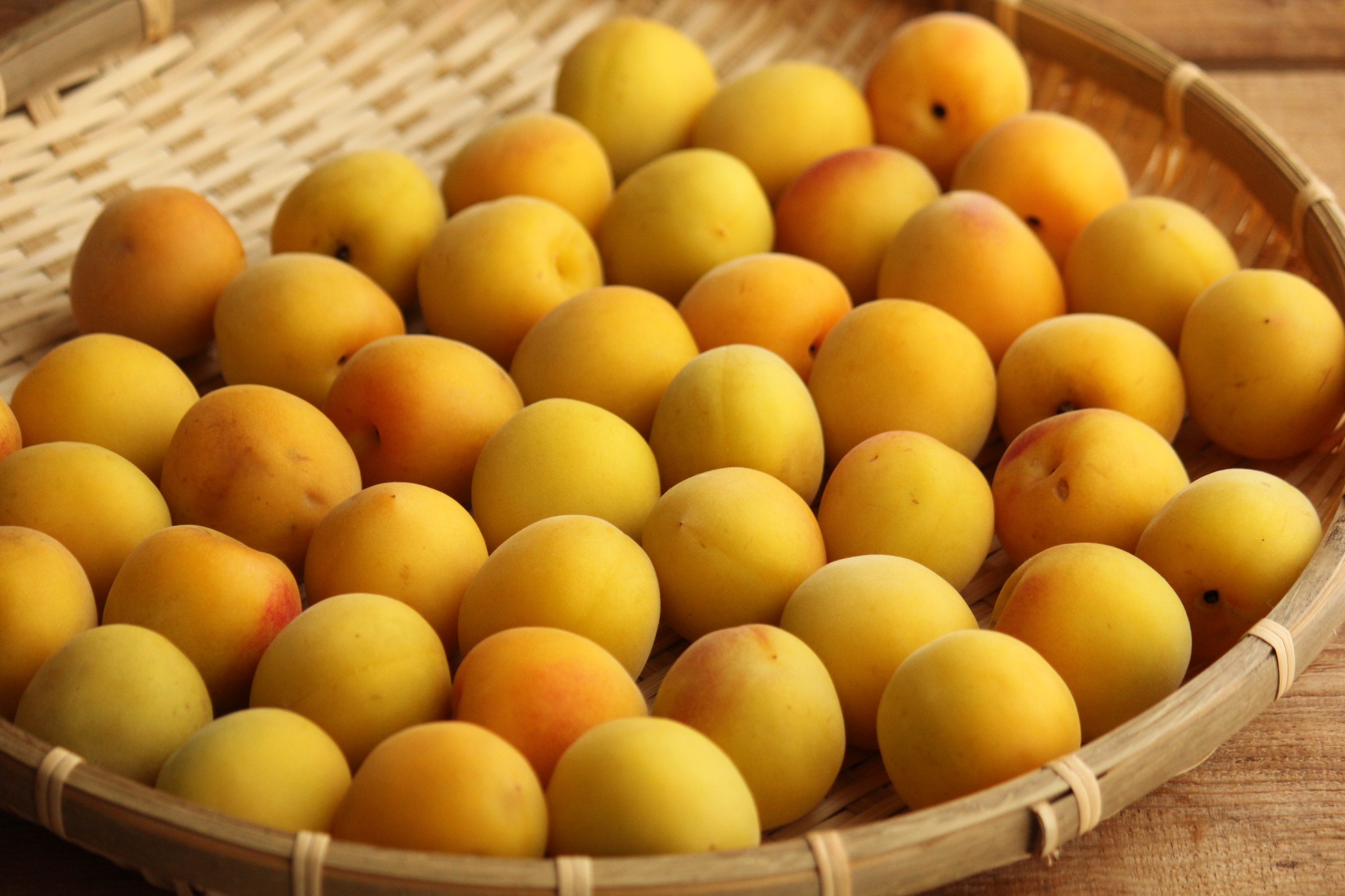 今年の梅仕事は4種類 失敗した事などまとめ ビジュアル系フード Powered By ライブドアブログ 今年の梅仕事は4種類 失敗した事などまとめ ビジュアル系フード Powered By ライブドアブログ