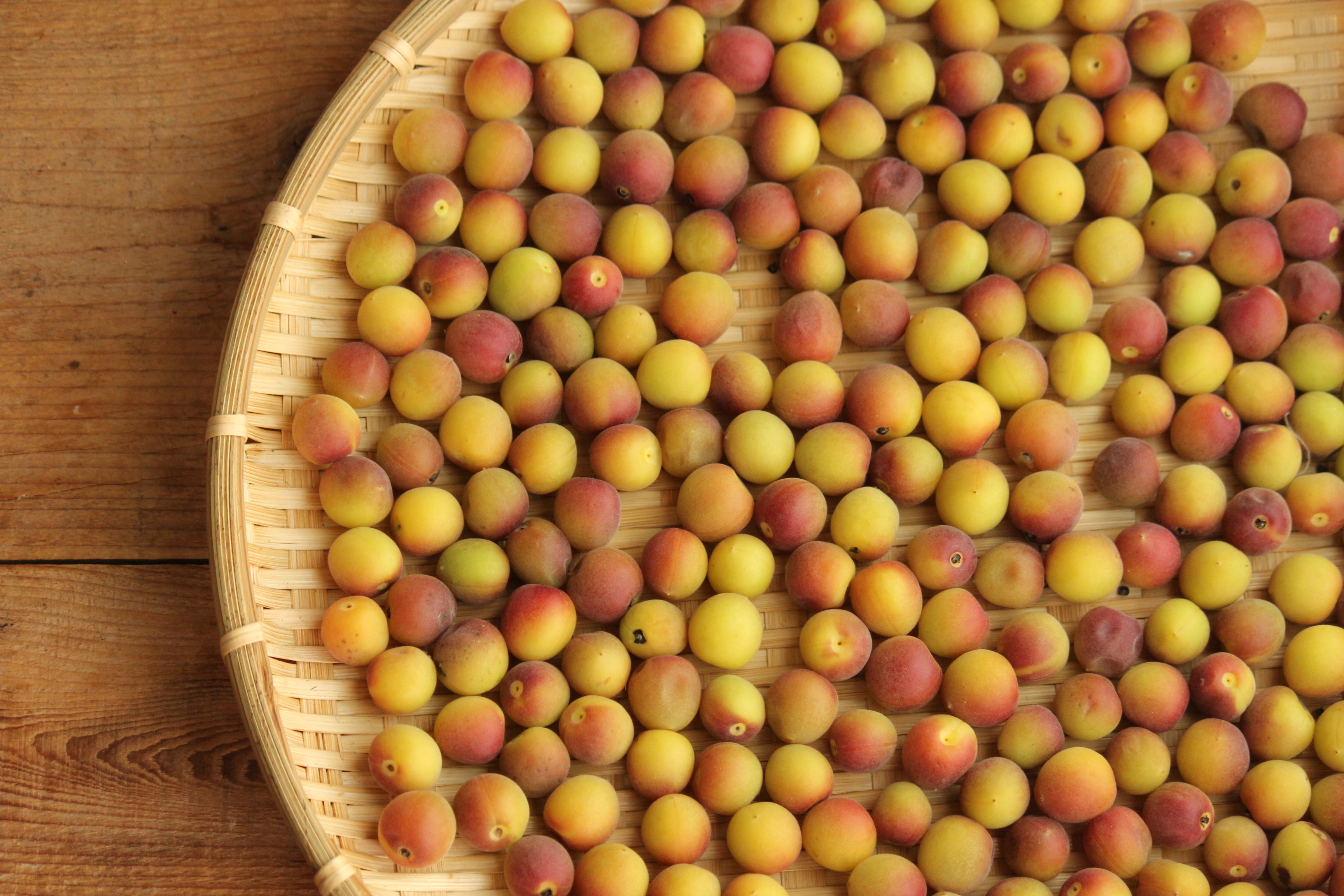 超簡単ジップロック漬け 小梅干し漬けました ビジュアル系フード Powered By ライブドアブログ