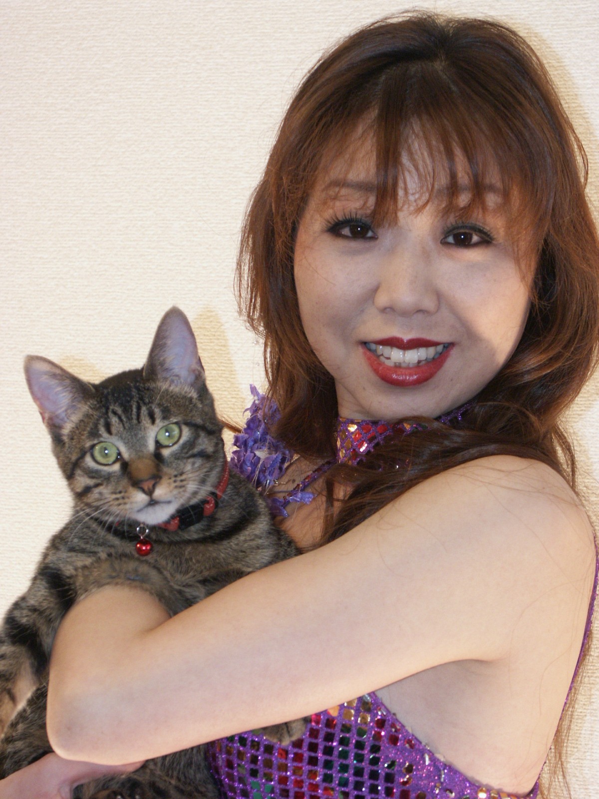 山本美紀の事務所のアイドルねこ にゃん吉君 山本美紀 演歌歌手 澤田美成 津軽三味線のブログyamamotomiki