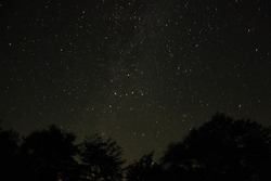 DSC_3378