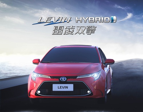 levin_hybrid