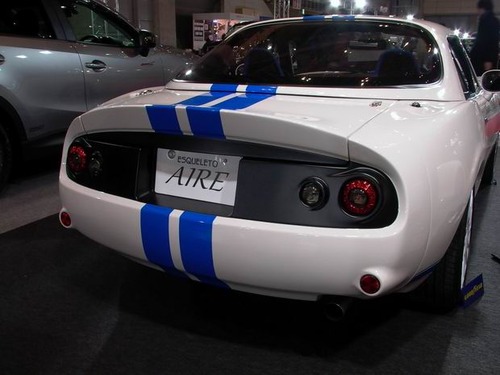 サイズ変更P1000127