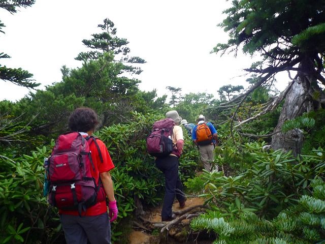 金峰山に登ってきました : yamamurayujildのblog
