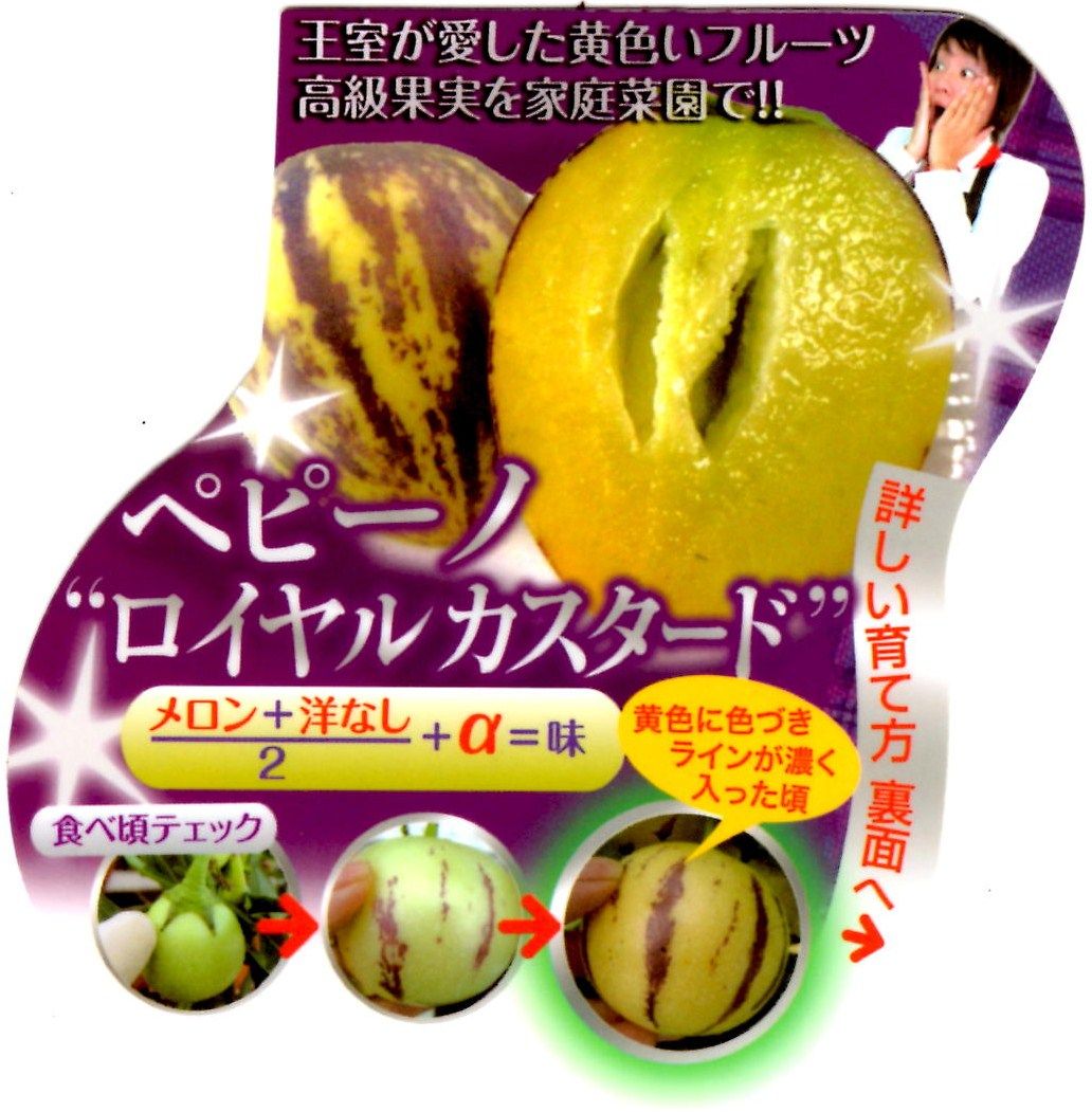 王室が愛した黄色いフルーツ 高級果実を家庭菜園で ペピーノ ロイヤルカスタードの苗を買ってみました Yamamurayujildのblog