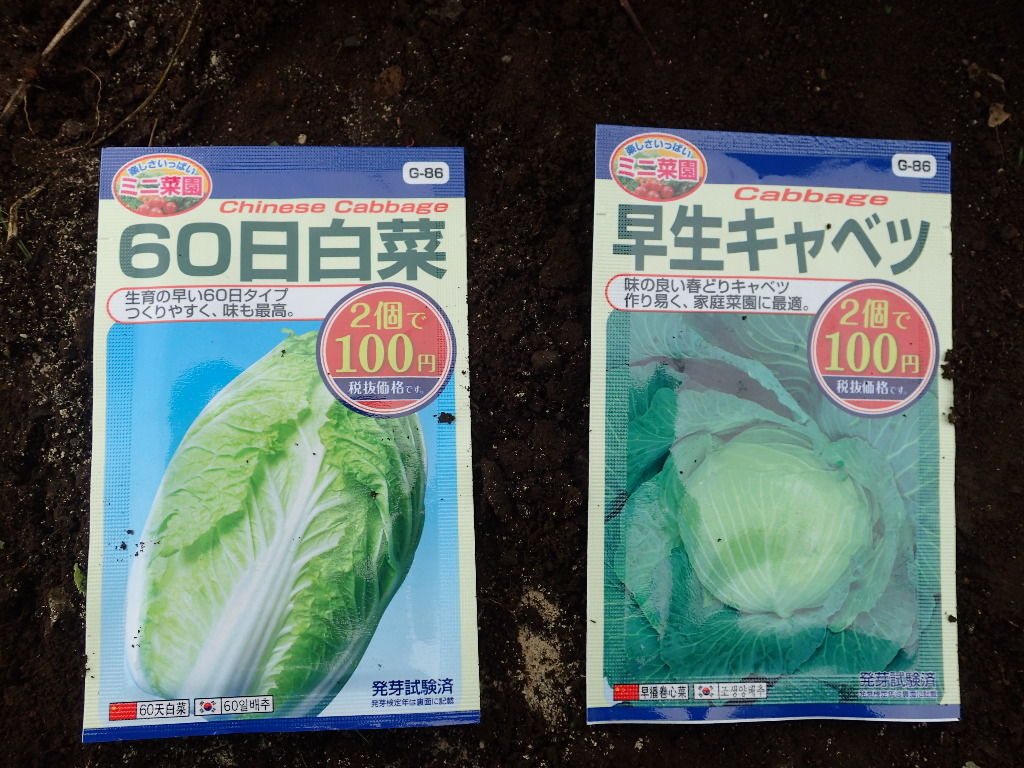 白菜 キャベツ Yamamurayujildのblog