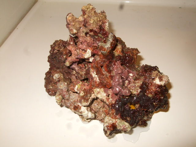 海水魚に欠かせない素晴らしいライブロックが届きました Yamamurayujildのblog 海水魚に欠かせない素晴らしいライブロックが届きました Yamamurayujildのblog